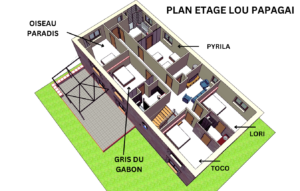 Lou Papagai Plan étage Grand Gîte Lou Papagai