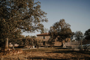 Lou Papagai 101023-20