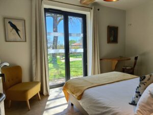 Lou Papagai Perruche2025-1